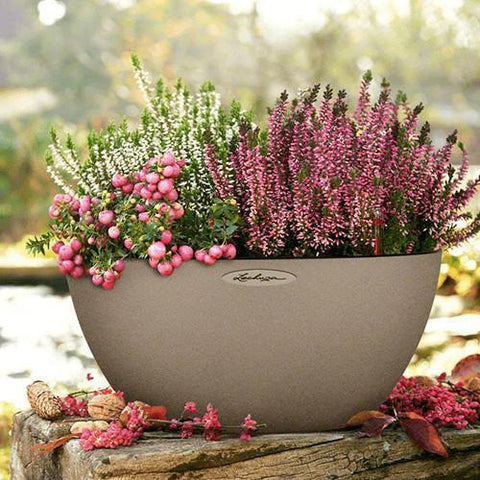 30 cm pot plant Lechuza Cubeto 30 Self Watering Pot