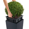 Image of Lechuza Cubico 30 Self Watering Pot - 30cm