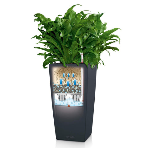 30 cm pot plant Lechuza Cubico 30 Self Watering Pot