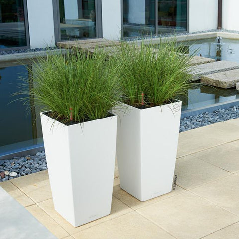 cubico self watering planter Lechuza Cubico 40 Self Watering Pot