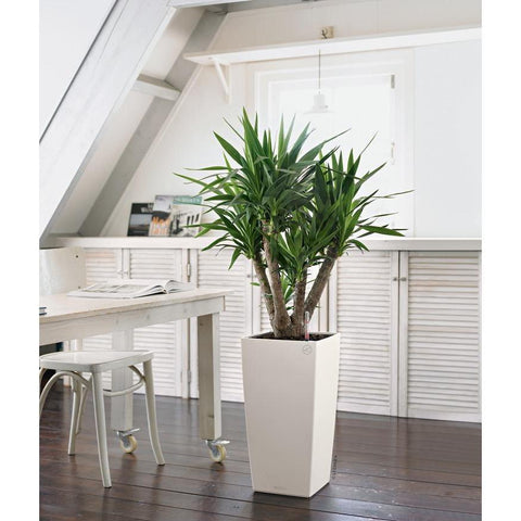 40cm indoor plant pot Lechuza Cubico 40 Self Watering Pot