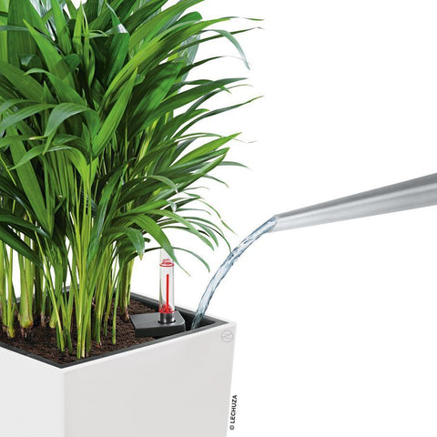 lechuza cubico self watering indoor outdoor planter Lechuza Cubico 40 Self Watering Pot