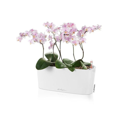 Lechuza Delta 10 Self Watering Table Planter