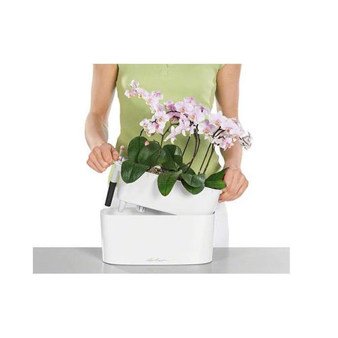 Lechuza Delta 10 Self Watering Table Planter