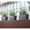 Image of Lechuza Delta 10 Self Watering Table Planter