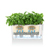 Image of Lechuza Delta 10 Self Watering Table Planter