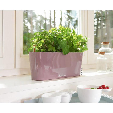 Lechuza Delta 10 Self Watering Table Planter