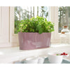 Image of Lechuza Delta 10 Self Watering Table Planter