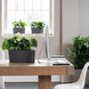 Image of Lechuza Delta 20 Self Watering Table Planter