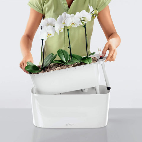 Lechuza Delta 20 Self Watering Table Planter