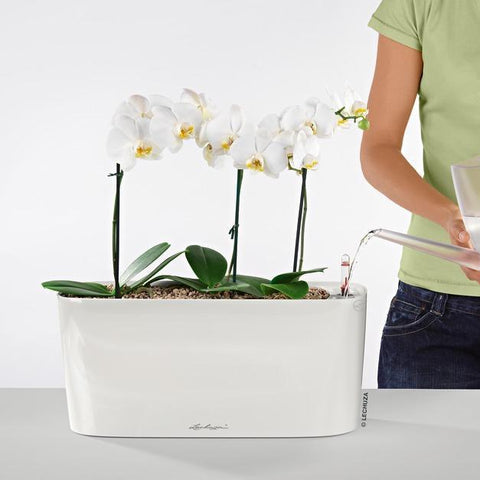 Lechuza Delta 20 Self Watering Table Planter