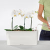 Image of Lechuza Delta 20 Self Watering Table Planter