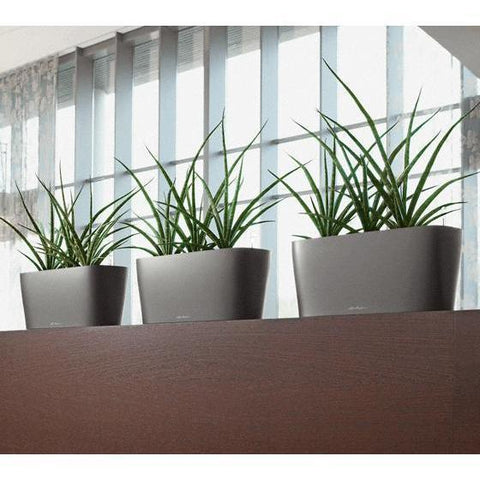 lechuza delta self watering indoor planter Lechuza Delta 20 Self Watering Table Planter – Vertical Gardens Direct