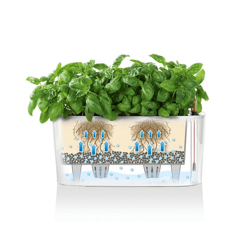 lechuza delta self watering indoor planter Lechuza Delta 20 Self Watering Table Planter – Vertical Gardens Direct