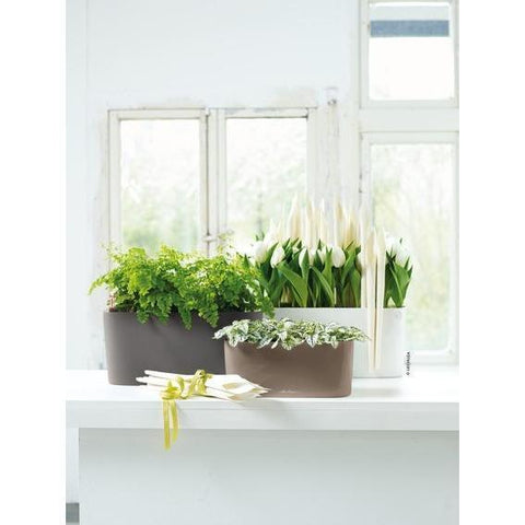 Lechuza Delta 20 Self Watering Table Planter