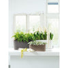 Image of Lechuza Delta 20 Self Watering Table Planter