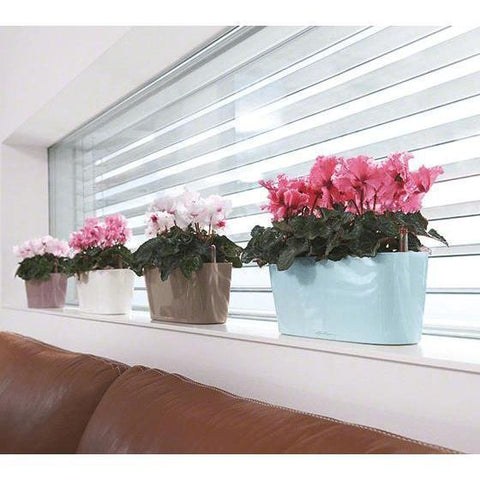 self watering window sill planter Lechuza Delta 20 Self Watering Table Planter – Vertical Gardens Direct