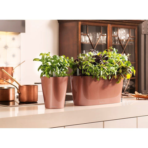 lechuza delta self watering indoor planter Lechuza Delta 20 Self Watering Table Planter – Vertical Gardens Direct