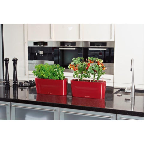 Lechuza Delta 20 Self Watering Table Planter