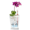 Image of Lechuza Deltini Self Watering Pot