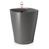 Image of Lechuza Deltini Self Watering Pot