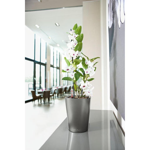 Lechuza Deltini Self Watering Pot