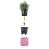 Image of Lechuza Glossy CUBE Kiss 14