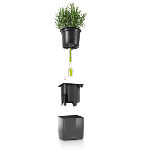 Lechuza Glossy CUBE Triple Wall Planter Kit