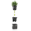 Image of Lechuza Glossy CUBE Triple Wall Planter Kit