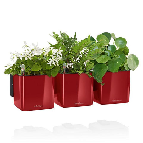 Lechuza Glossy CUBE Triple Wall Planter Kit