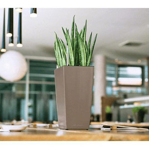 lechuza maxi cubi self-watering planter Lechuza Maxi Cubi Self Watering Pot – Vertical Gardens Direct