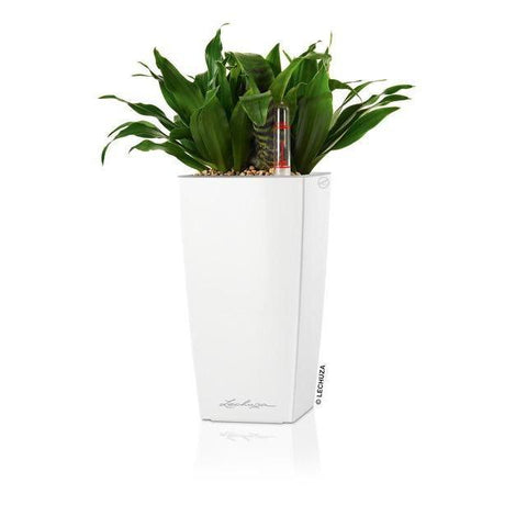 Lechuza Mini Cubi Self Watering Pot