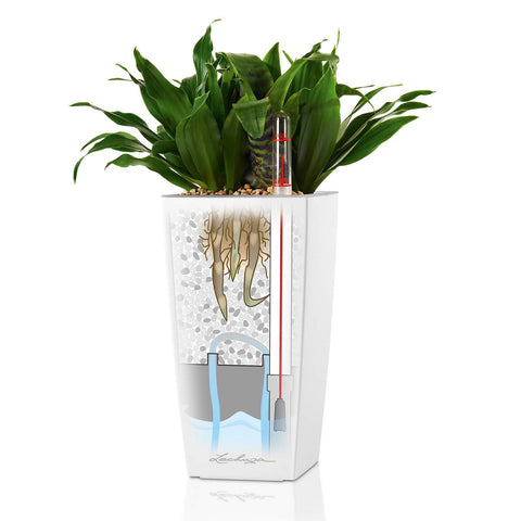 Lechuza Mini Cubi Self Watering Pot