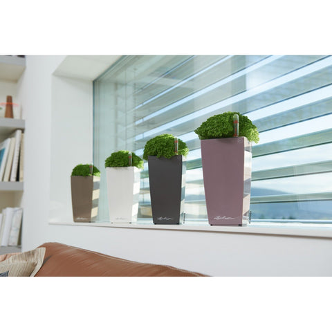 Lechuza Mini Cubi Self Watering Pot