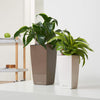 Image of Lechuza Mini Cubi Self Watering Pot