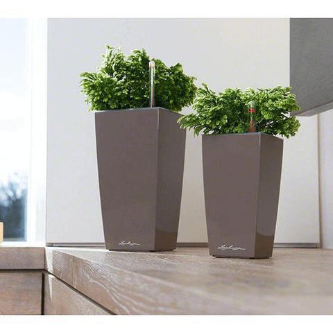 Lechuza Mini Cubi Self Watering Pot