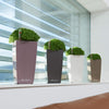 Image of Lechuza Mini Cubi Self Watering Pot