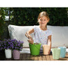 Image of Lechuza Mini Deltini Self Watering Pot