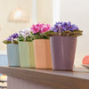 Image of Lechuza Mini Deltini Self Watering Pot