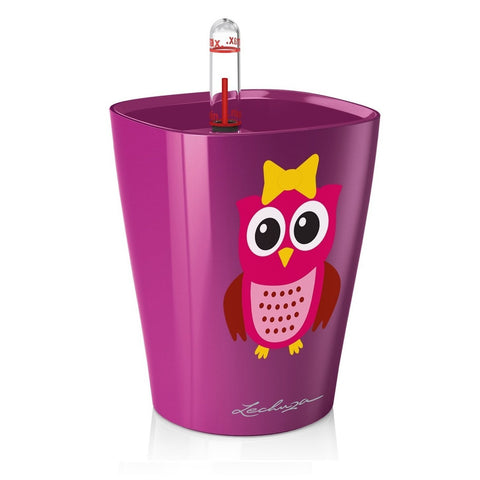 Lechuza Mini Deltini Self Watering Pot With Owl