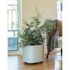 Image of Lechuza PILA Planter 35