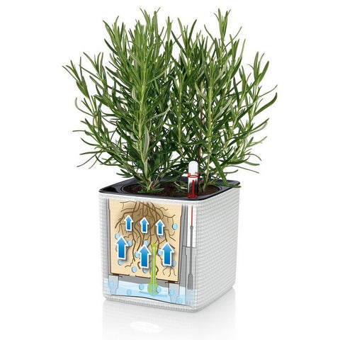 Lechuza PURO CUBE Color Triple Wall Planter Kit