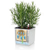 Image of Lechuza PURO CUBE Color Triple Wall Planter Kit