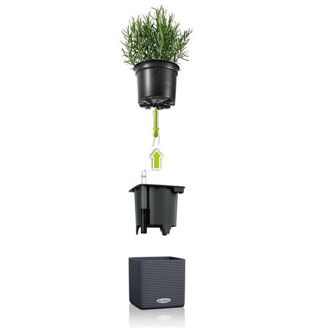 Lechuza PURO CUBE Color Triple Wall Planter Kit