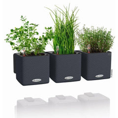 Lechuza PURO CUBE Color Triple Wall Planter Kit