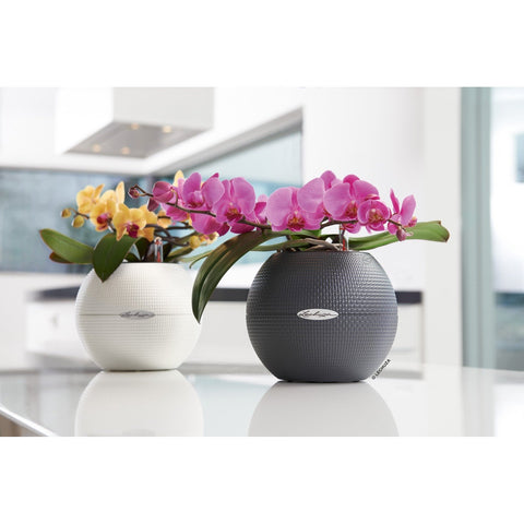 20 cm diameter plant pot Lechuza Puro 20 Diameter Self Watering Pot
