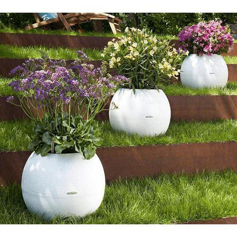 20 diameter plant pot Lechuza Puro 20 Diameter Self Watering Pot