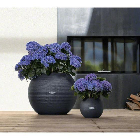 plant pot 20cm diameter Lechuza Puro 20 Diameter Self Watering Pot