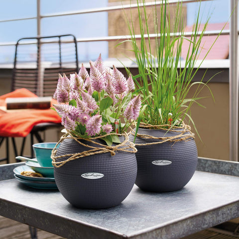 plant pot 20cm diameter Lechuza Puro 20 Diameter Self Watering Pot