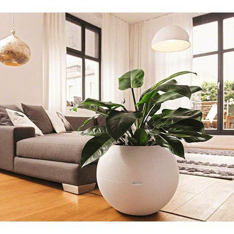 lechuza indoor planter Lechuza Puro 50 Self Watering Pot